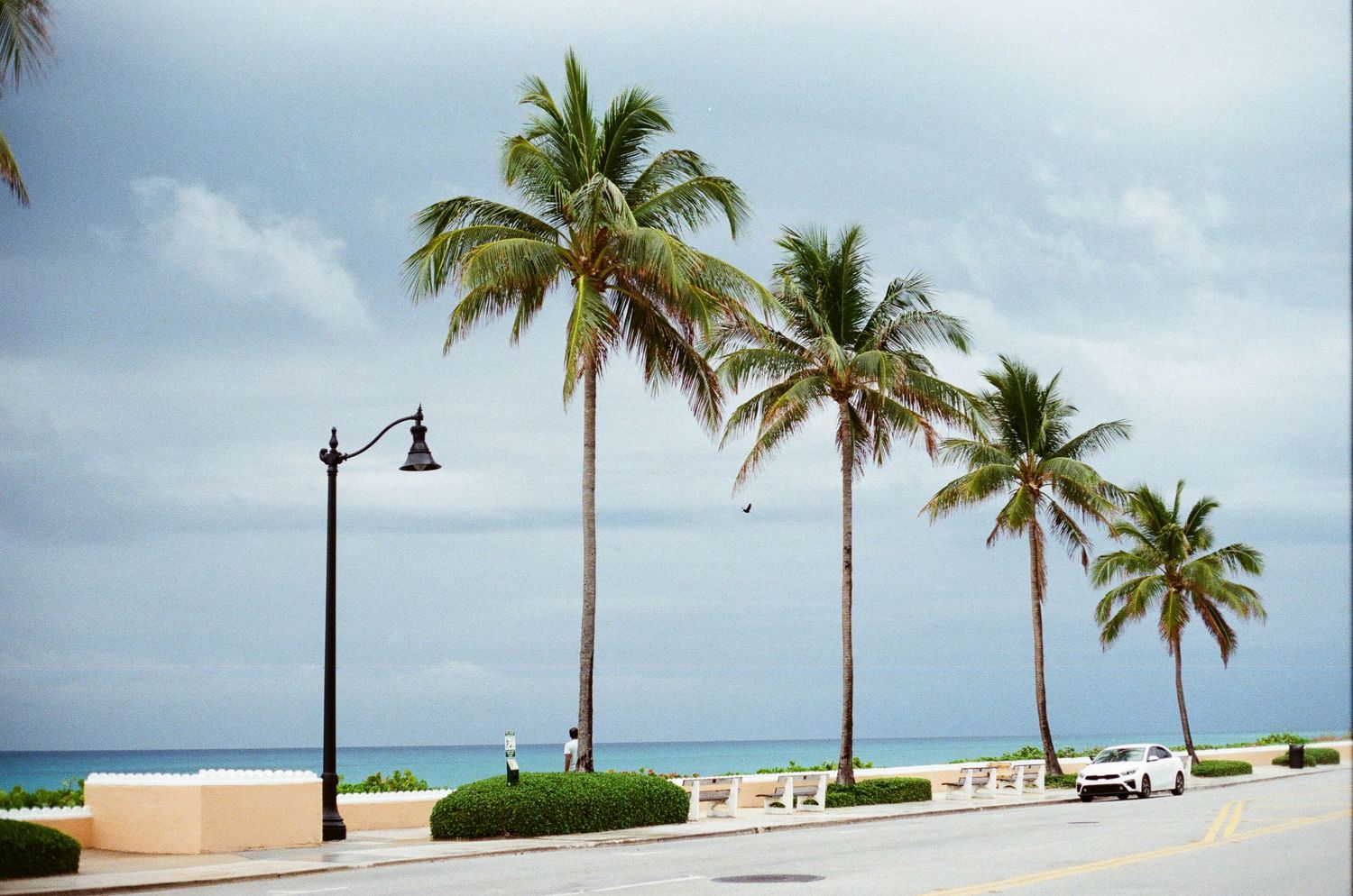Lake Worth Casino building at dusk with palm trees, glowing arched windows, and a white domed tower against a cloudy sky.