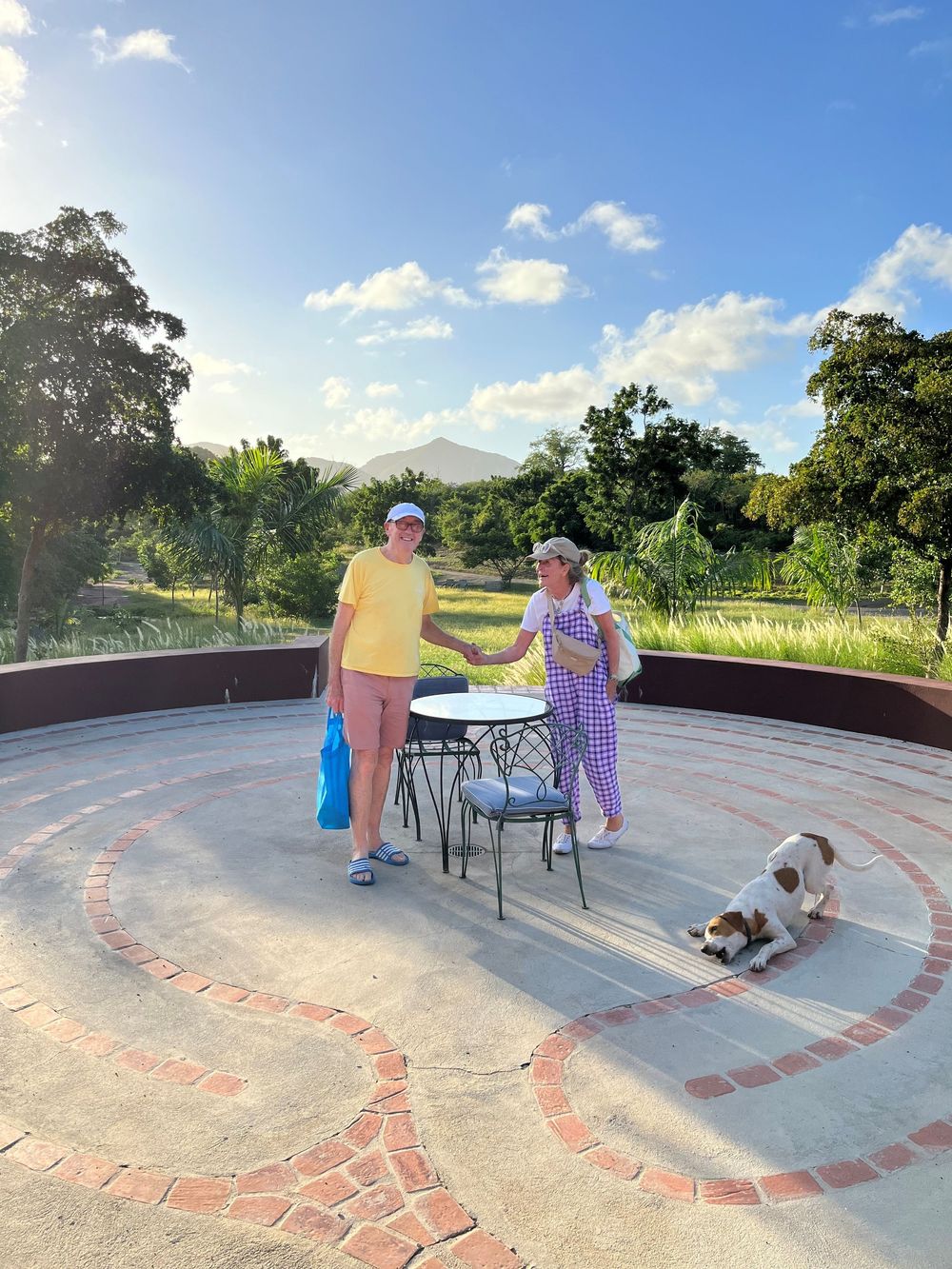 Two women shaking hands on a circular brick patio with a dog resting nearby, lush trees and mountain backdrop.