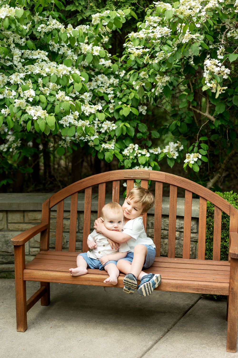 Older brother hugging baby sibling on a wooden bench surrounded by white flowering trees.