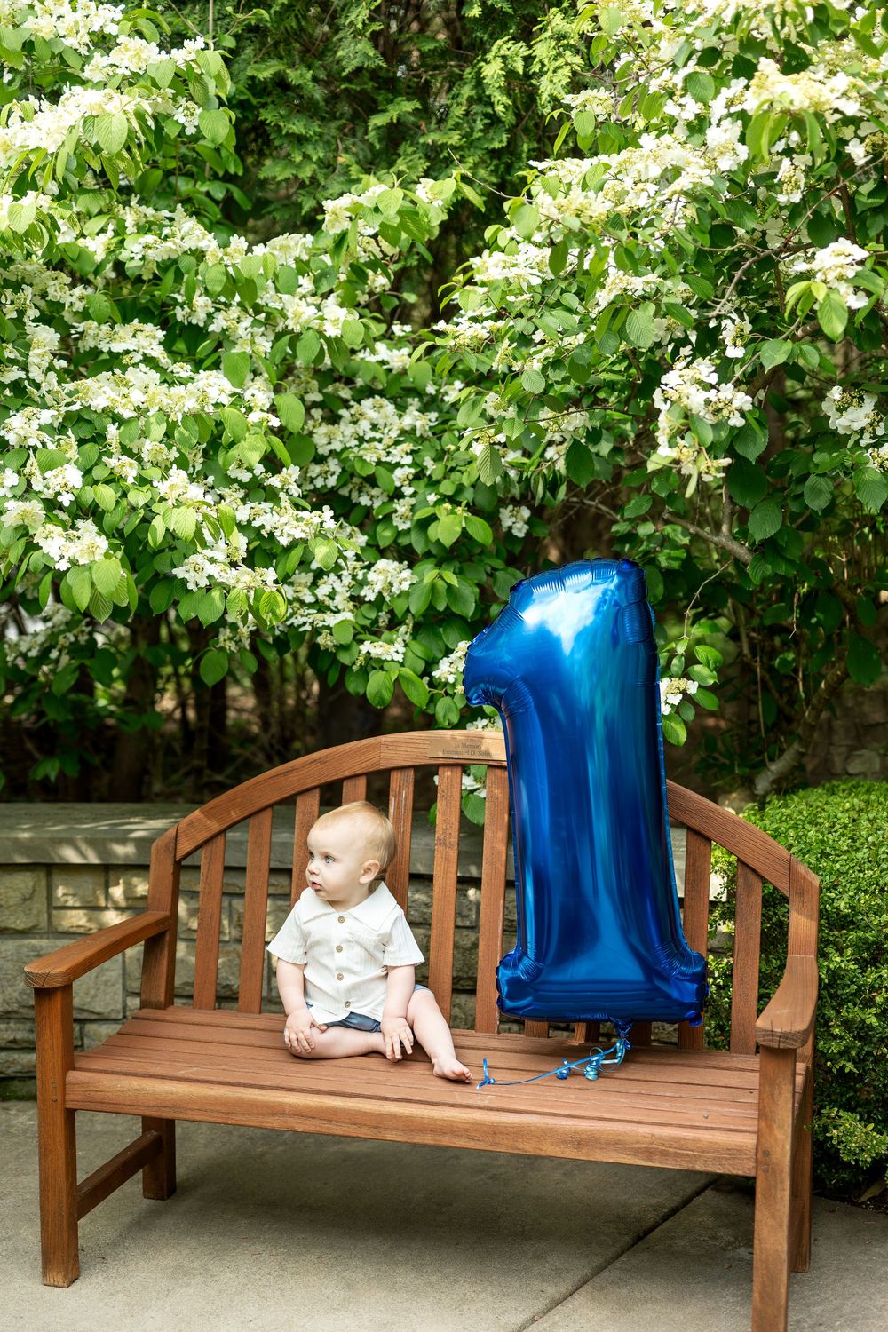 Baby boy sits on wooden bench beside blue number one balloon among flowering trees.