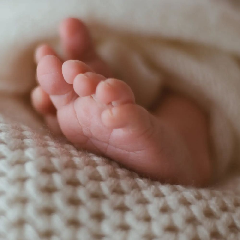 piedi