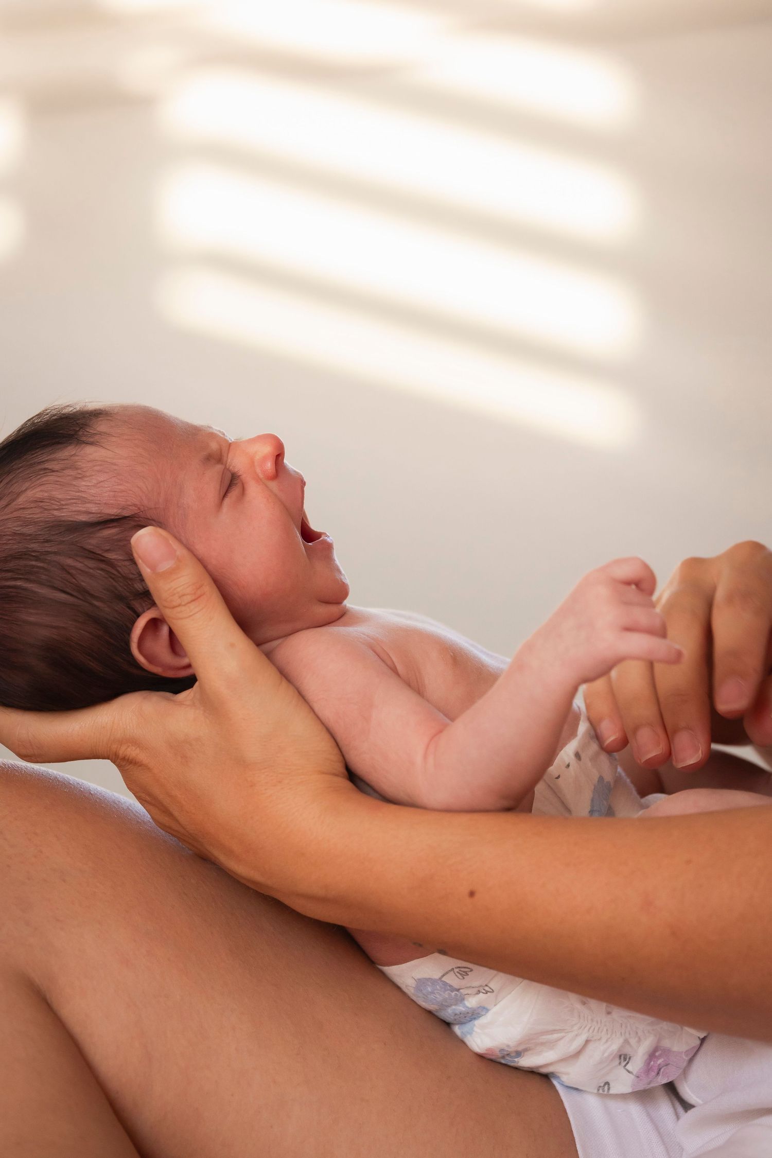 Newborn photography session. Sunlit photograph capturing intimate moments of care and tenderness.