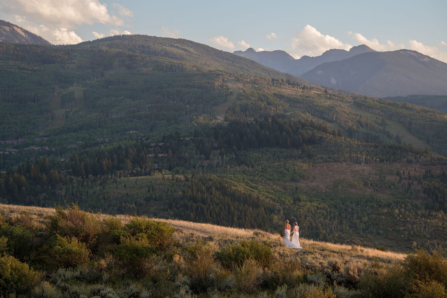 Panoramic view of mountain ranges with evergreen forests in the distance.