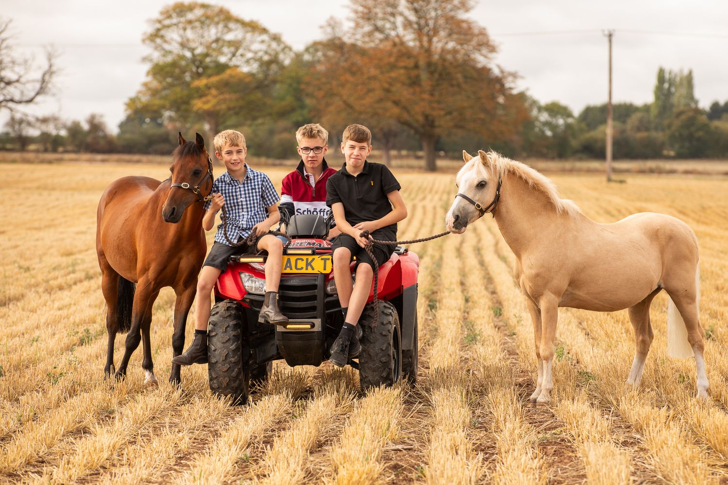 A group poses with horses along a tree-lined path during a sunny autumn day for outdoor photos.