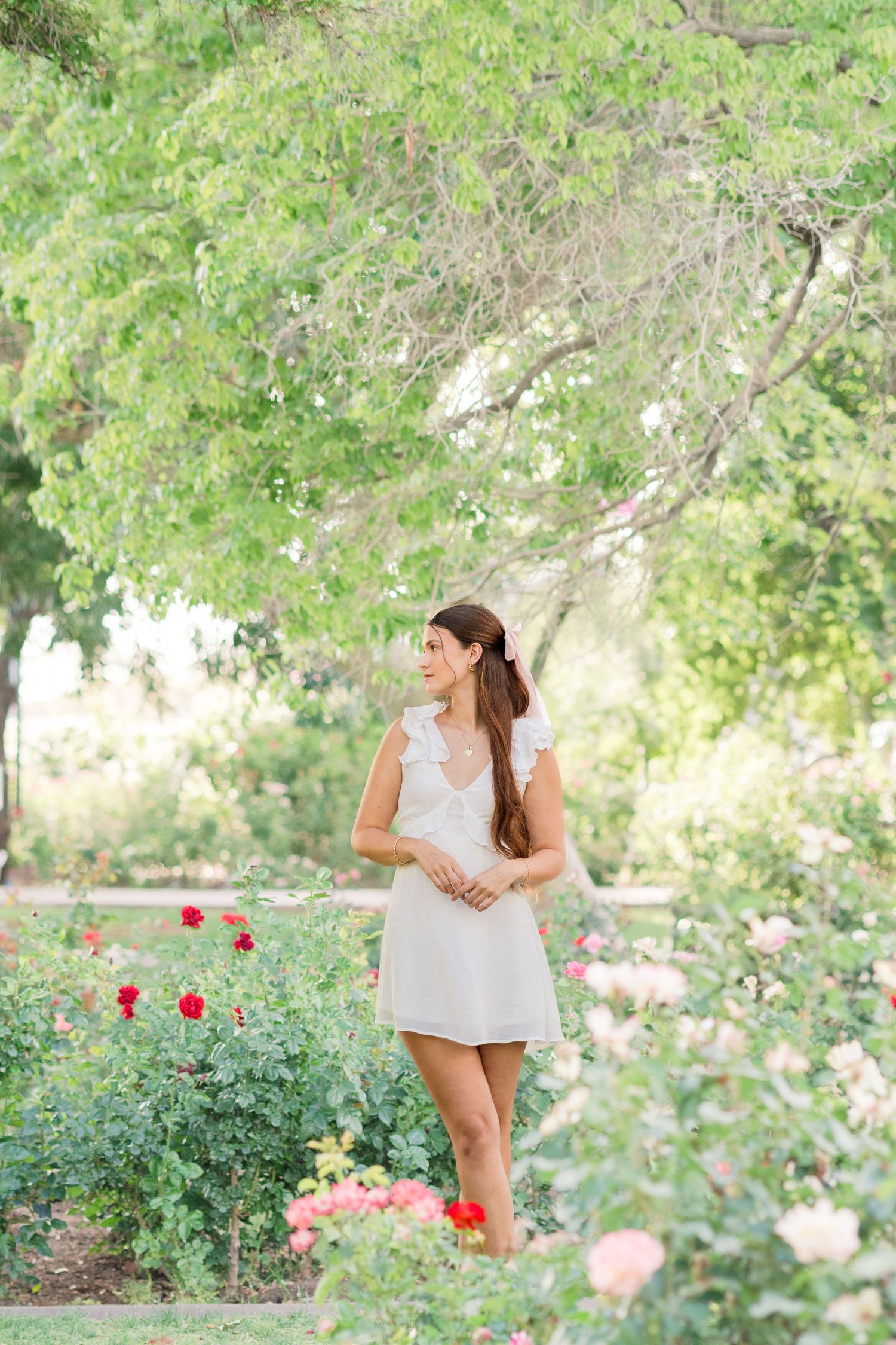 Light and airy senior image of a young girl standing in the middle of the Mesa Community College Rose Garden.