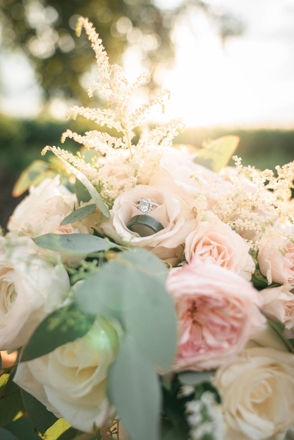 Magic Hour Portraits West Michigan Wedding Photography