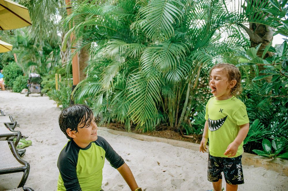 Two young children playing among lush tropical palm trees and greenery.