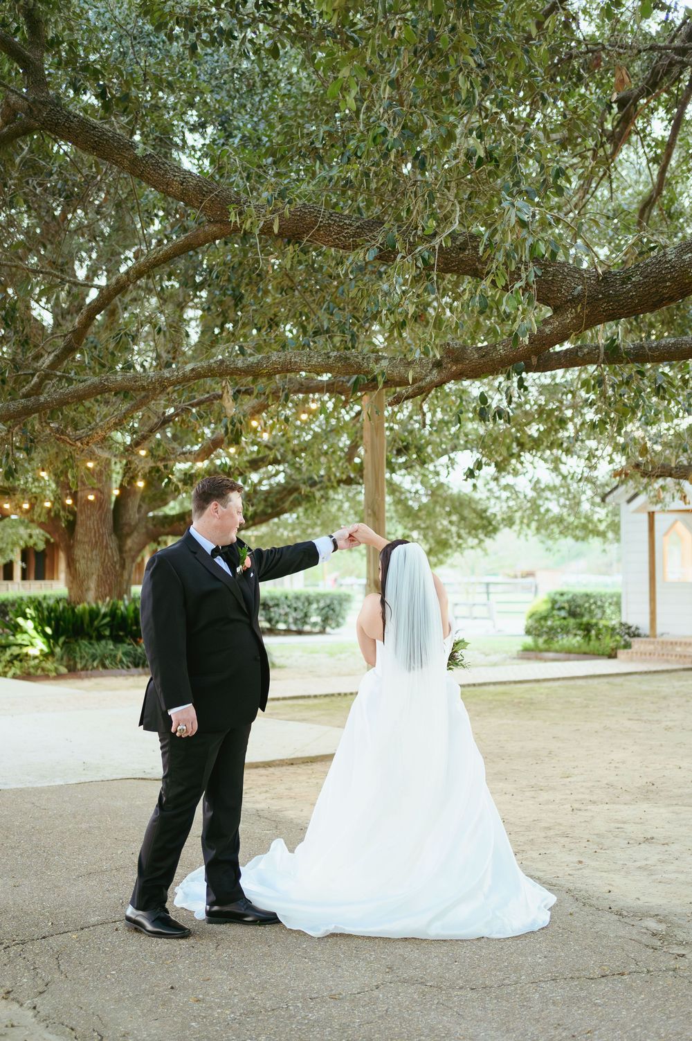 A romantic sequence of wedding photos showing a couple in formal attire under a large tree in a park setting.