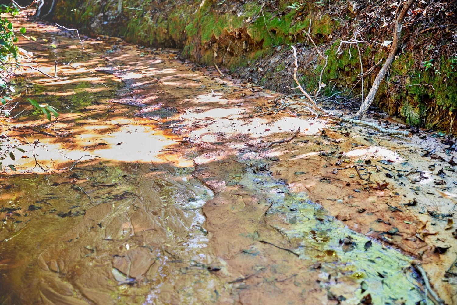 Colorful mineral deposits and stagnant water create abstract patterns in a shallow stream bed.
