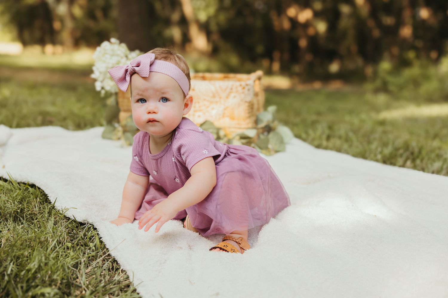 Baby in purple dress and bow crawling on white blanket during outdoor photo shoot. Colorado Springs Photographer.
