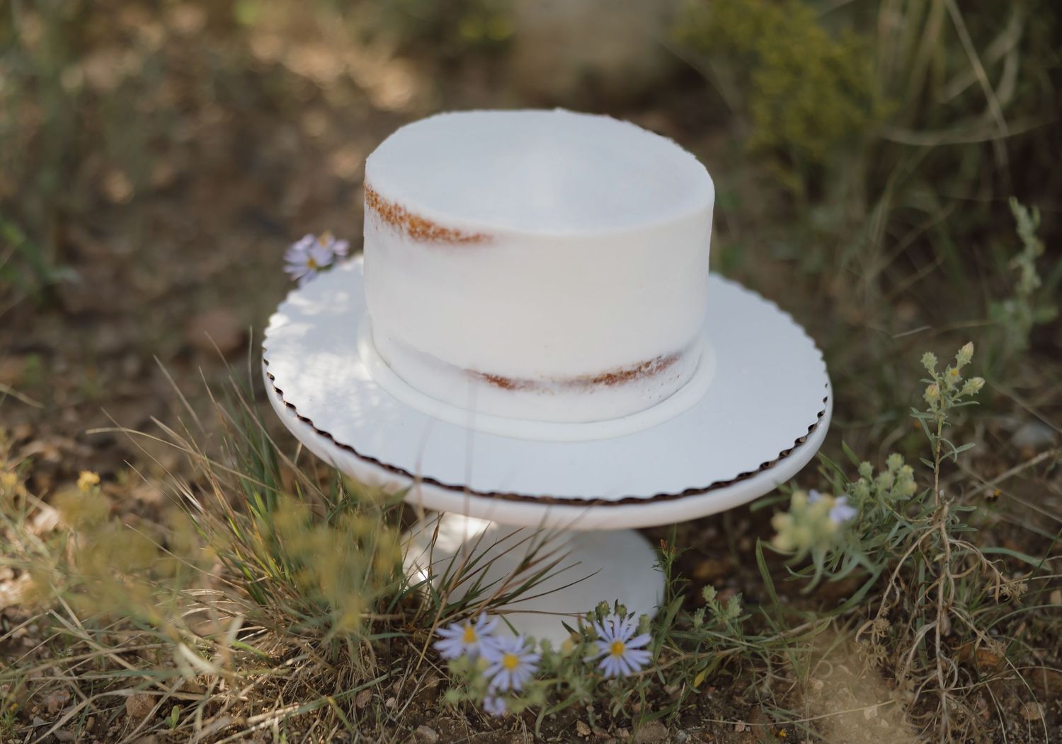 A simple white frosted cake on a pedestal stand surrounded by wildflowers in a rustic outdoor setting.