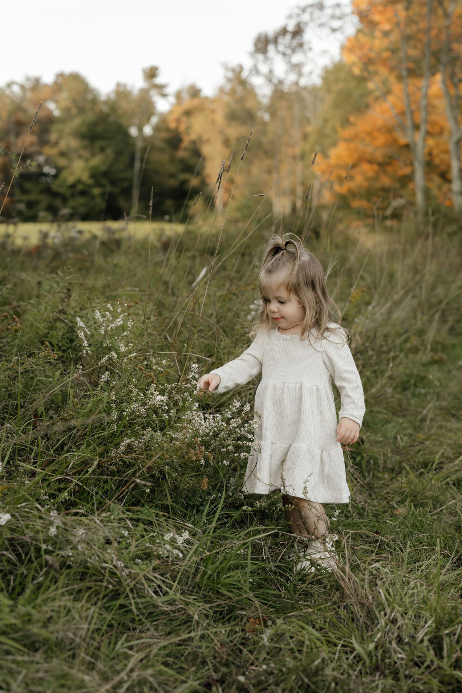 Young child in cream dress explores tall grass in autumn field.