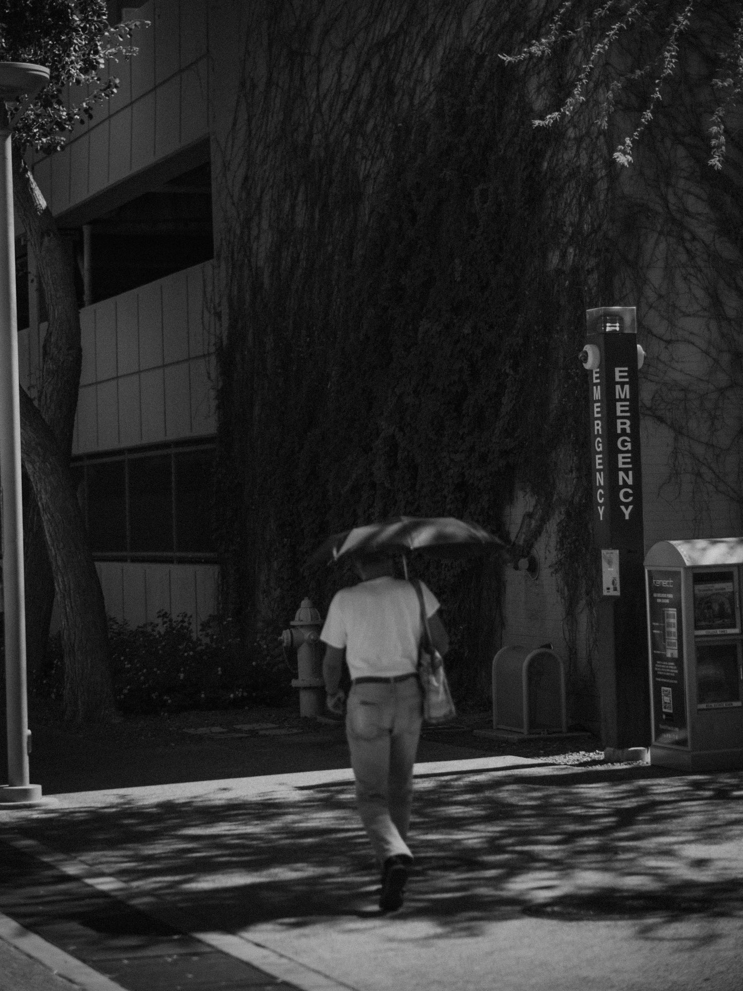 Person walking with umbrella casting shadows on sidewalk in black and white photography.