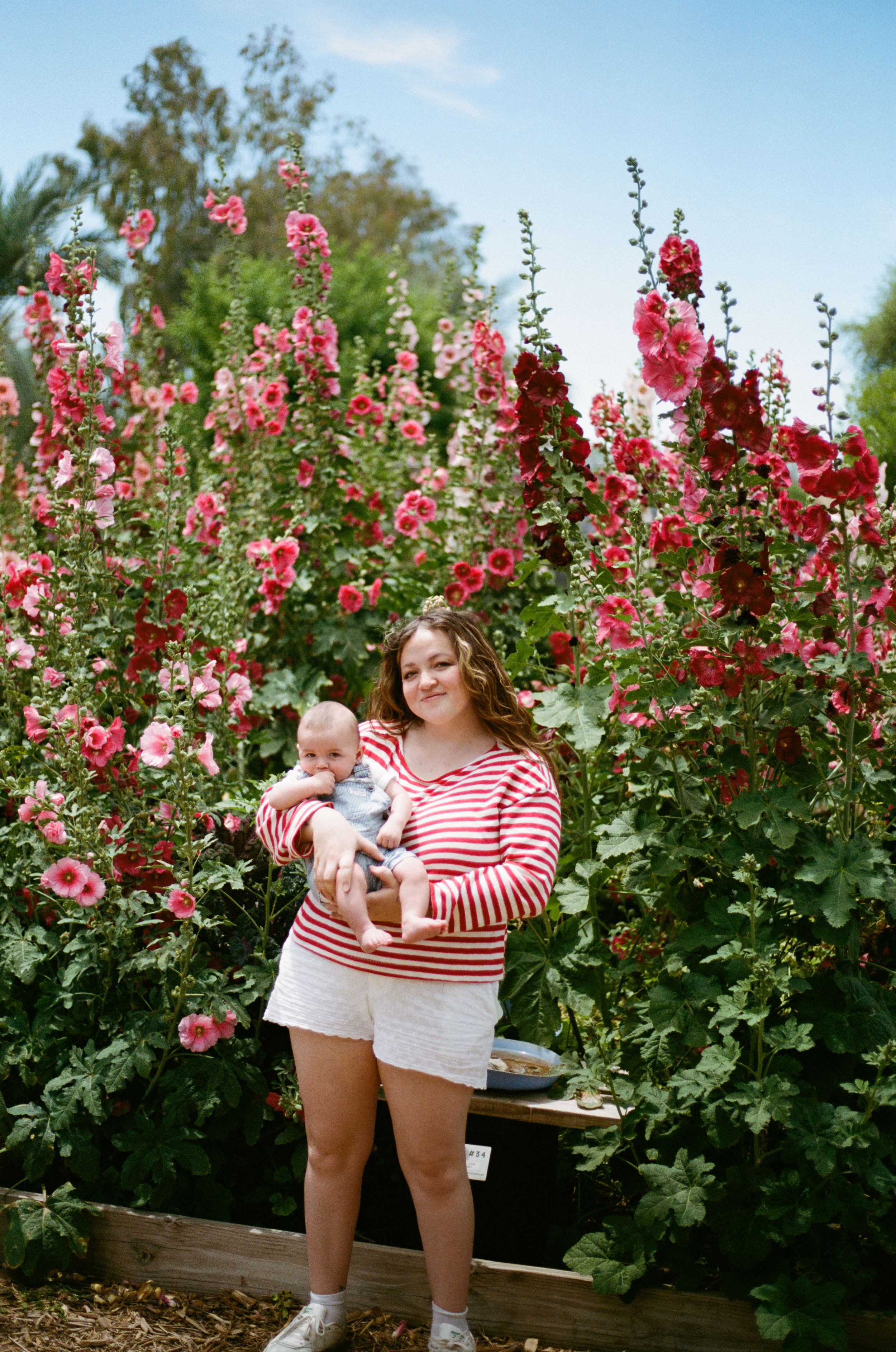 Woman in striped shirt holding baby among blooming pink hollyhock flowers.