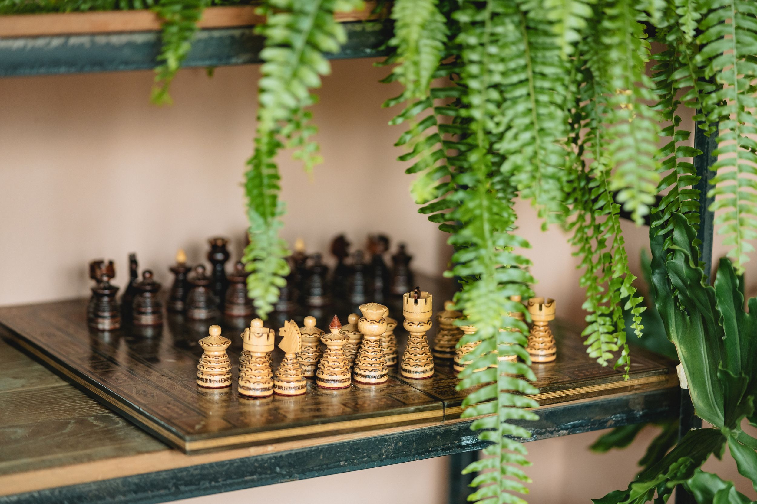 Chess pieces set up on a board beneath hanging ferns on a wooden shelf.