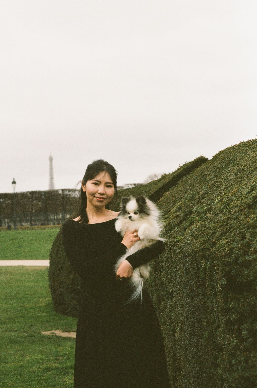 A black-and-white Japanese Chin dog being held in front of a hedge with the Eiffel Tower visible in the background in Paris.
