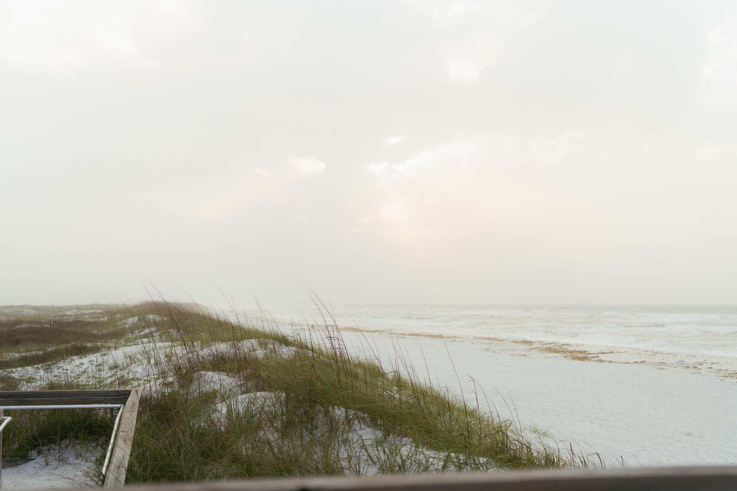 A tranquil coastal landscape with beach grass growing on sand dunes overlooking a misty ocean shoreline.