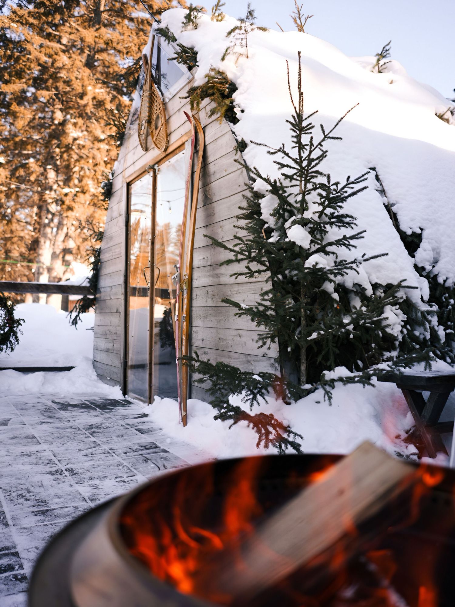 Snow-covered evergreen trees frame a cozy fire pit scene at dusk.