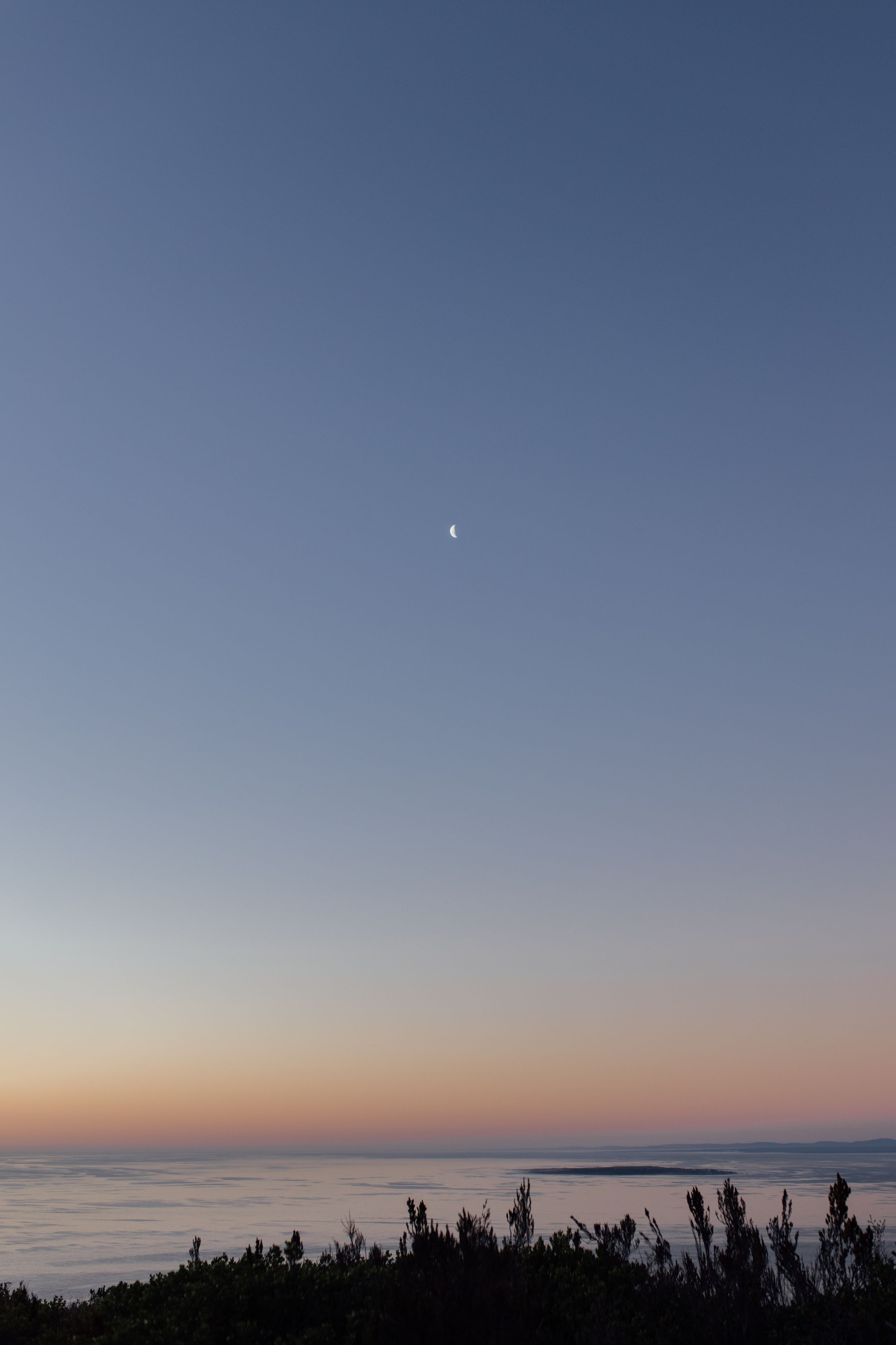 A crescent moon hangs in a twilight sky above a misty horizon with silhouetted shrubs in the foreground.