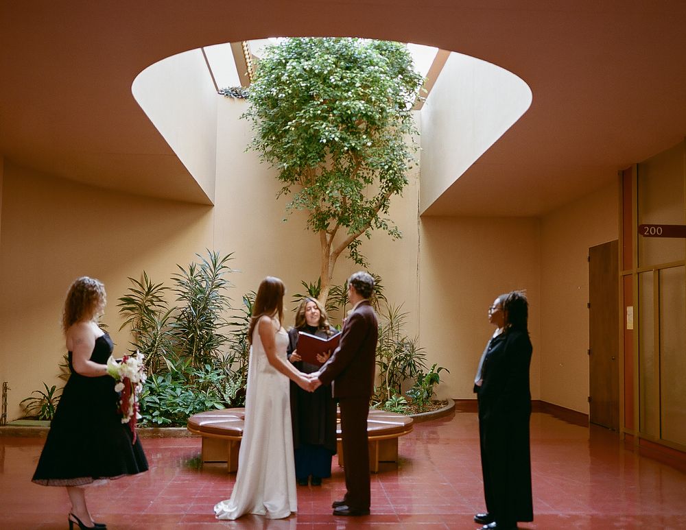 Wedding party gathered in a hallway with indoor plants and warm lighting.
