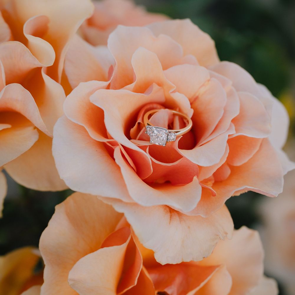 A diamond engagement ring nestled in the center of a blooming peach rose surrounded by soft petals.