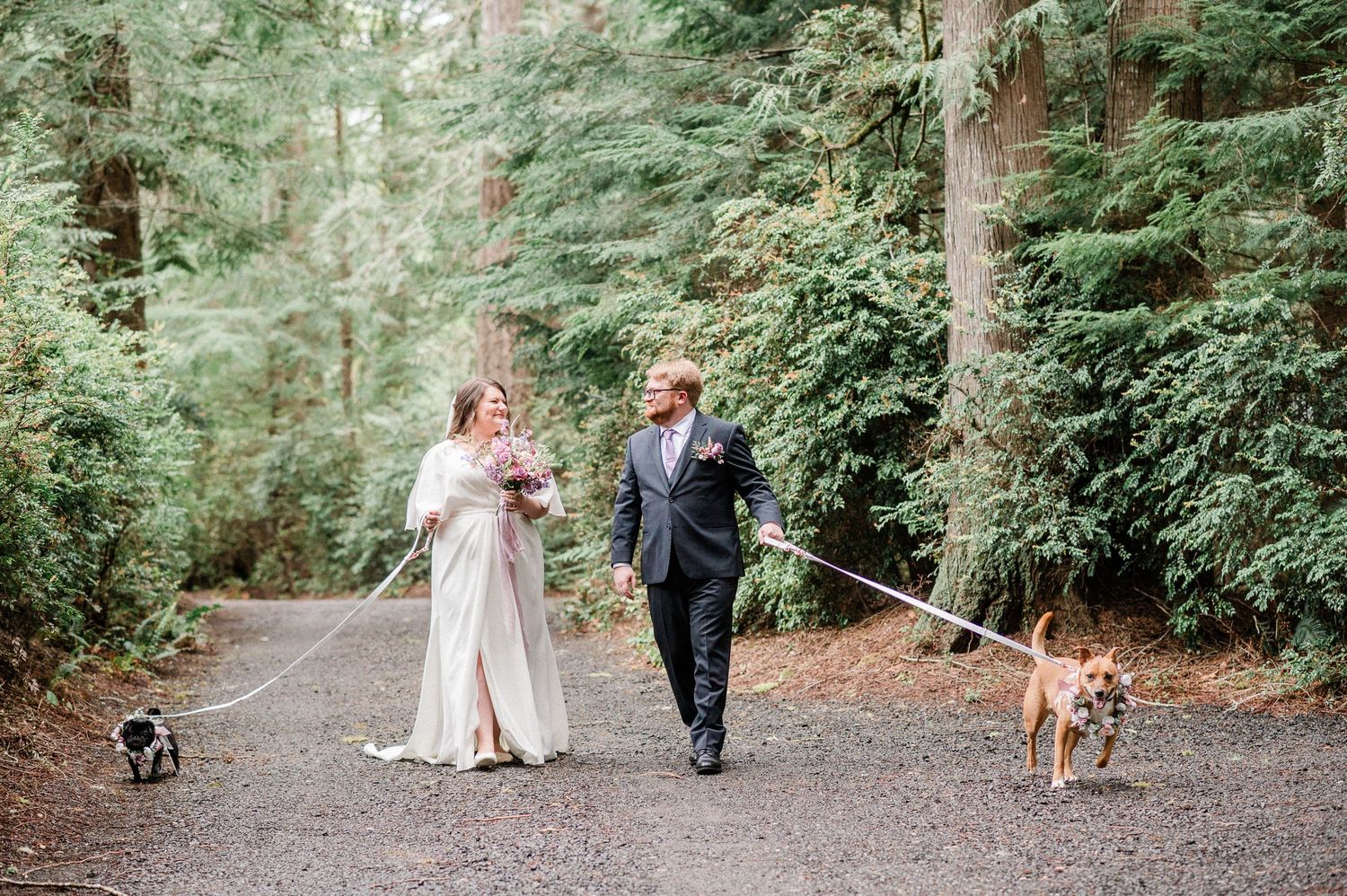 bride and groom walk their dogs on forest road on a gloomy Washington day