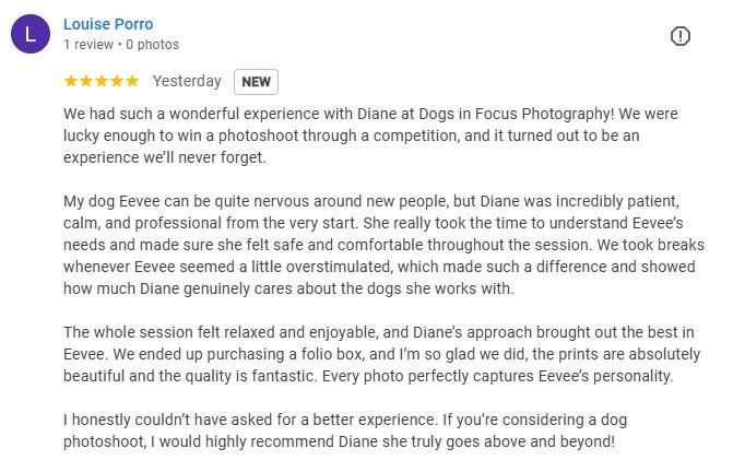 A screenshot of multiple 5-star customer reviews praising a dog photography service.