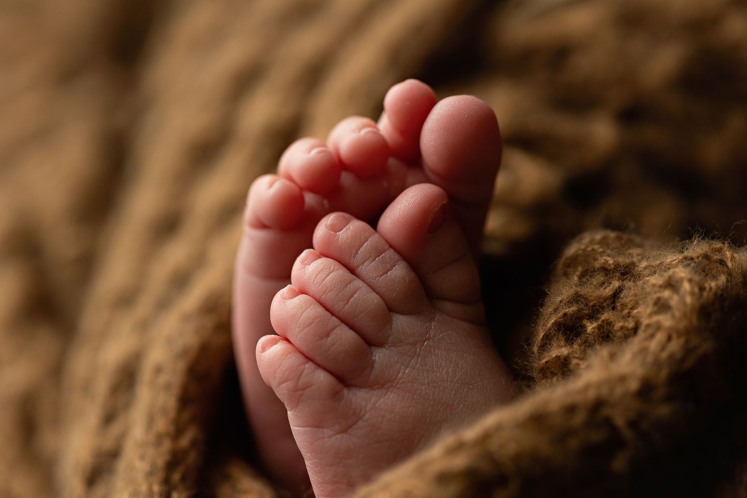 Macro shot of toes. Greenville sc newborn photographer, Easley sc newborn photographer, Upstate newborn photographer, Greenville