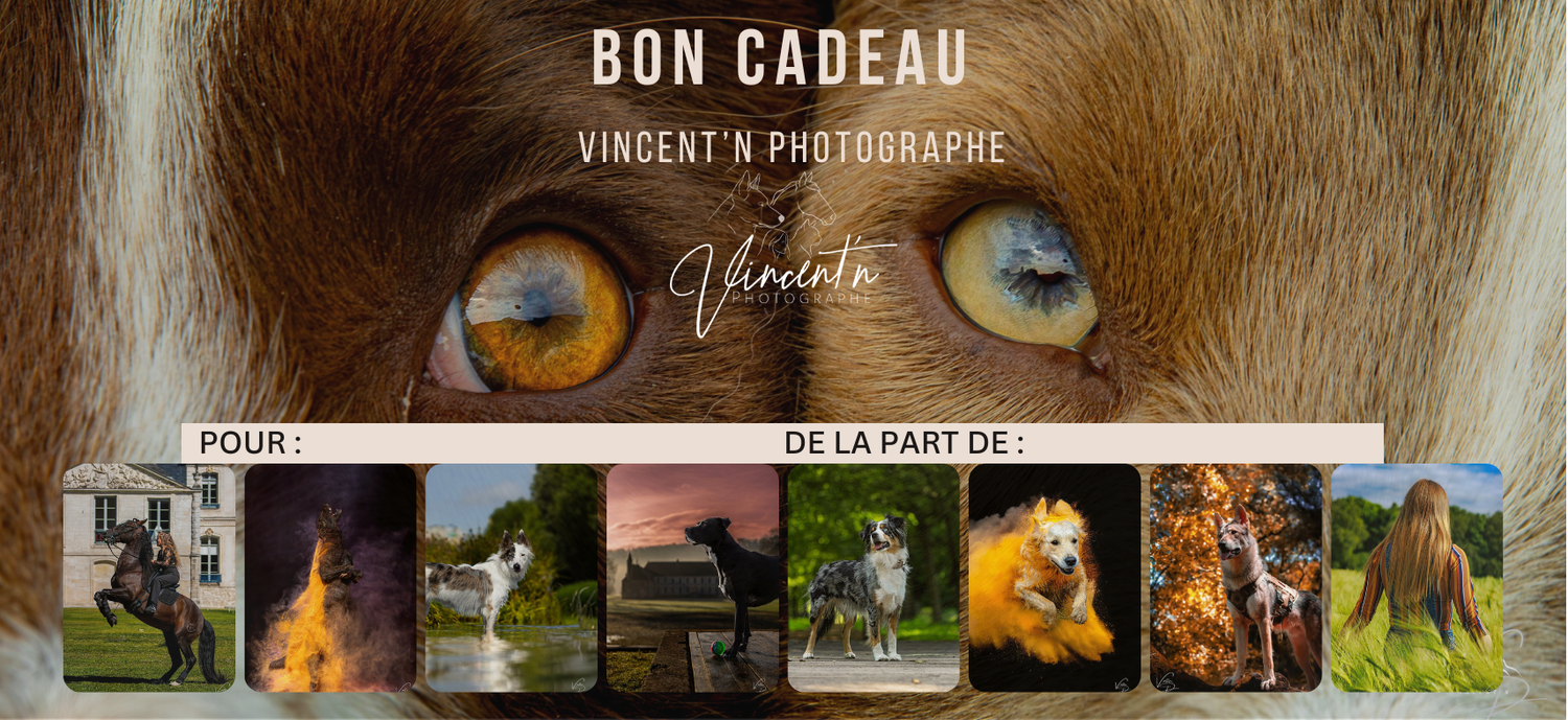 A modern online gift card interface displays 'BON CADEAU' text with a grid of product thumbnails below.