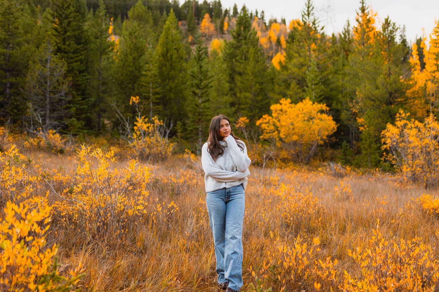 a Mines college graduate stands in a golden autumn meadow surrounded by evergreen forest and yellow foliage at sunset.