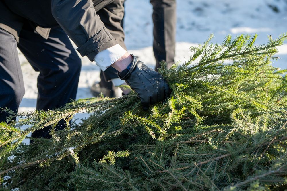 Hautajaiskuvaus Kalajoki