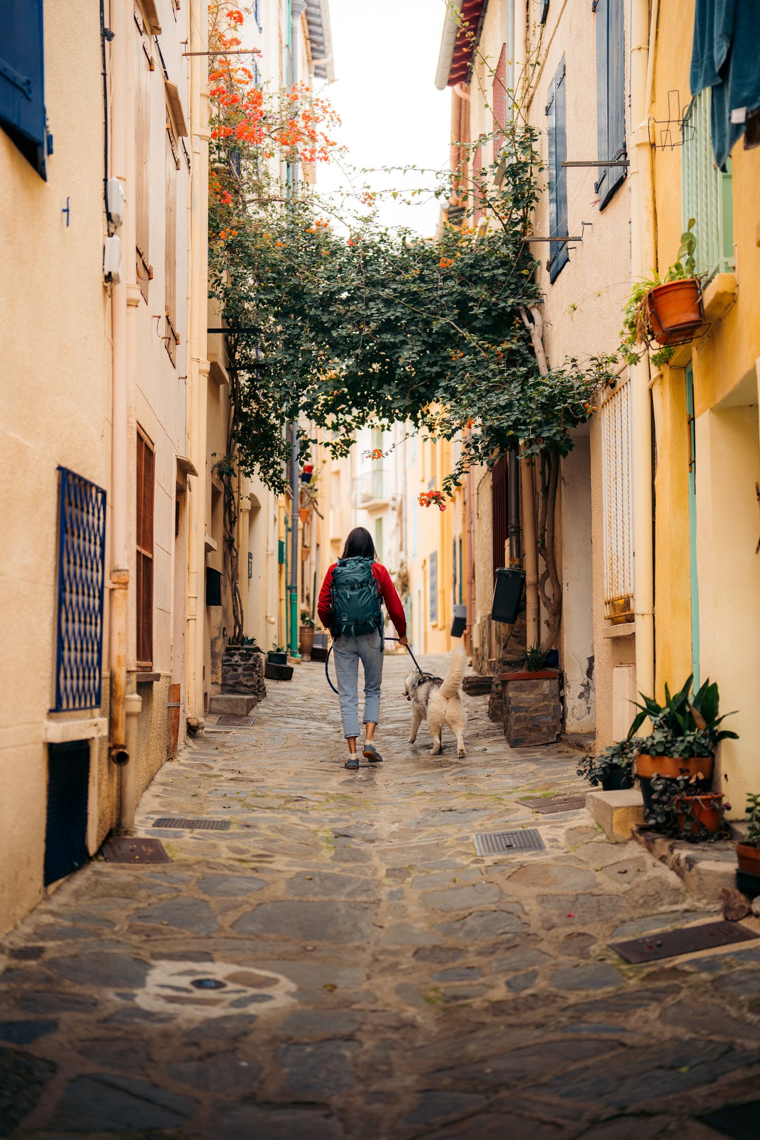 promeneuse dans les ruelles colorées de Collioure