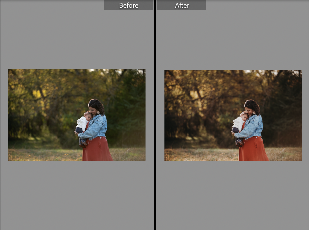 Family photo editing presets