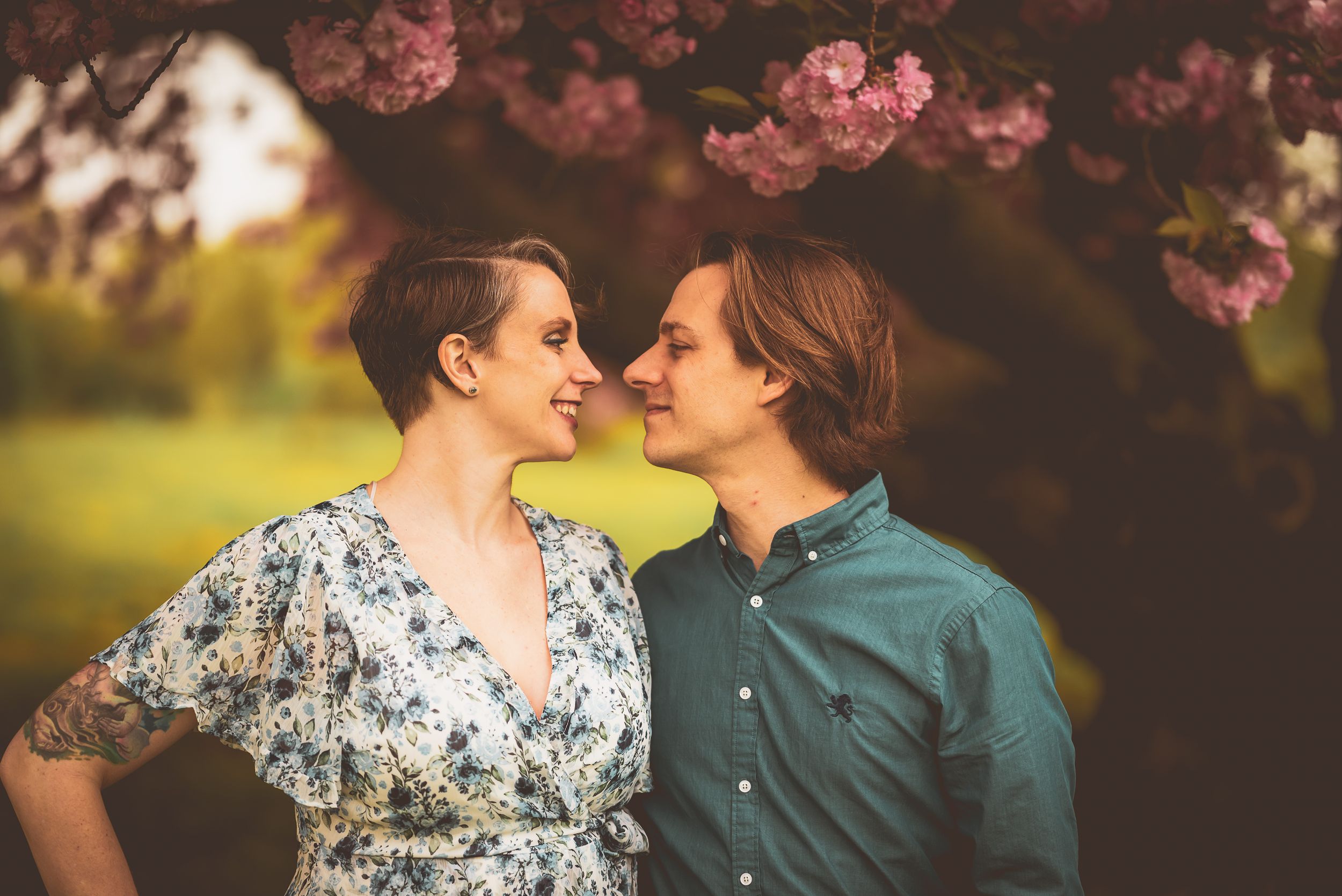 Romantic couple sharing intimate moment under blooming cherry blossoms at sunset.
