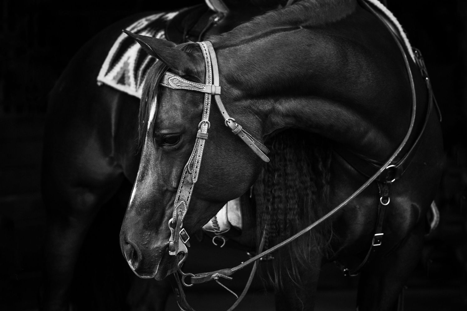 WESTERN LIFESTYLE
