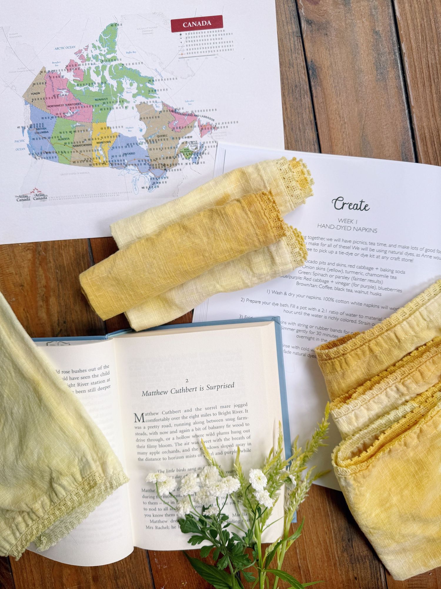 Anne of Green Gables curriculum