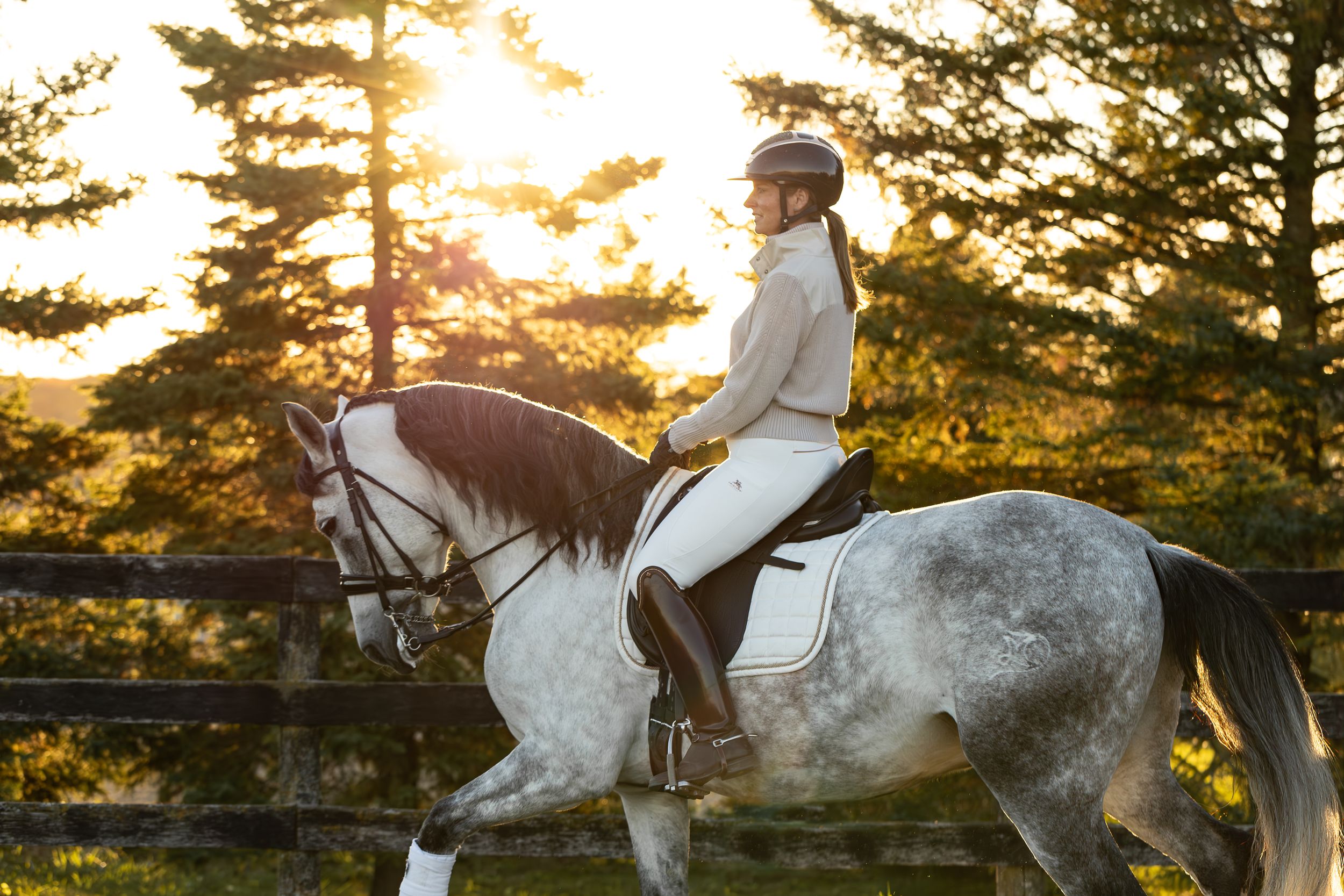 ontario equine photographer in stouffville ontario canada, dressage horse ontario, andalusian horse ontario, caledon dressage rider, sunset