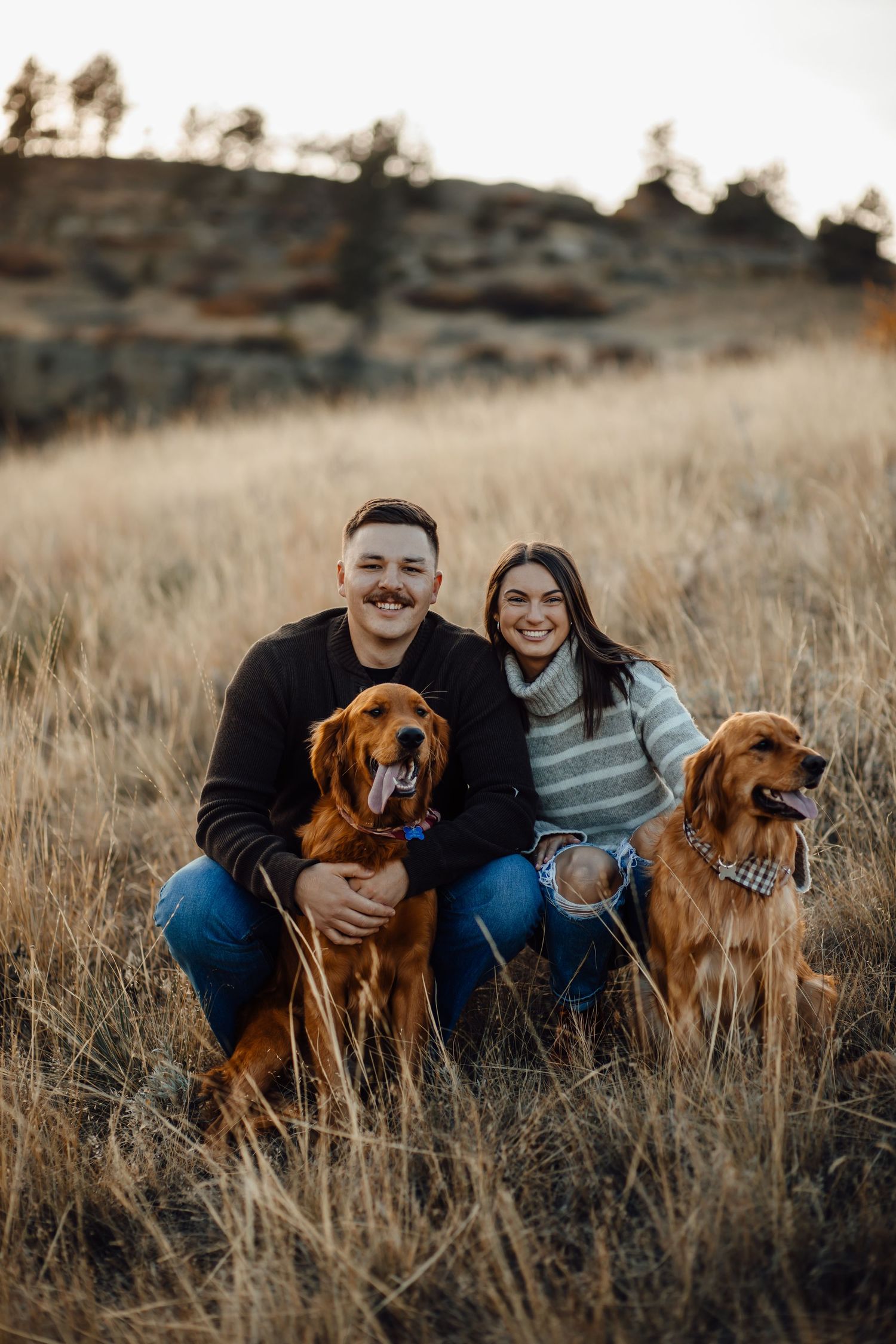 Two Golden Retrievers sitting in tall grass at sunset with their owners in a rustic outdoor setting.
