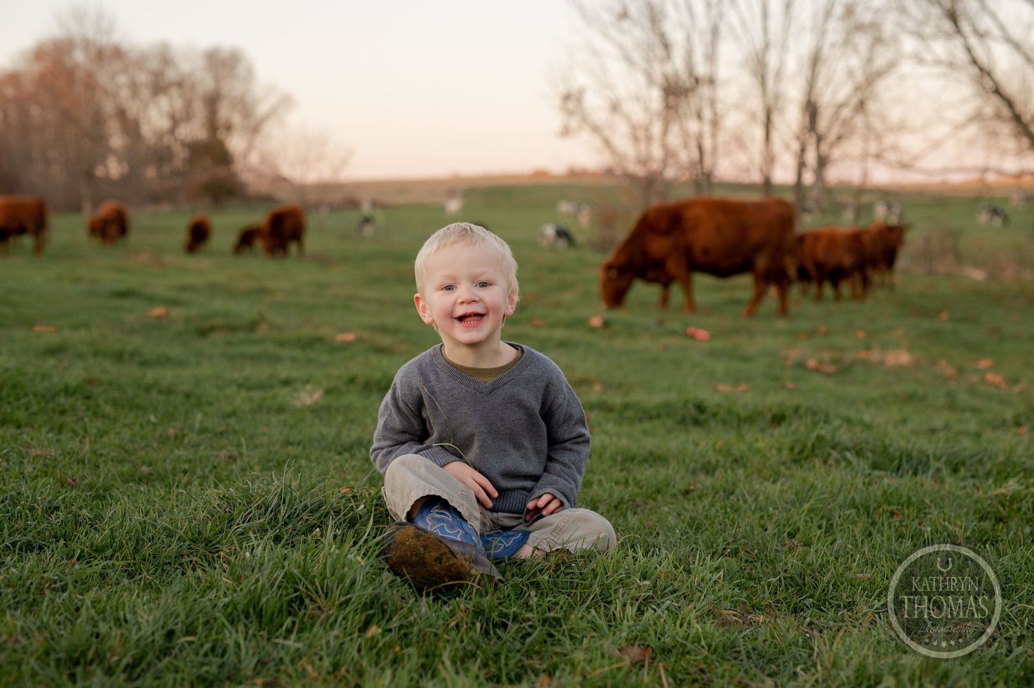 A joyful country scene with a young child sitting on grass while cattle graze in the background.