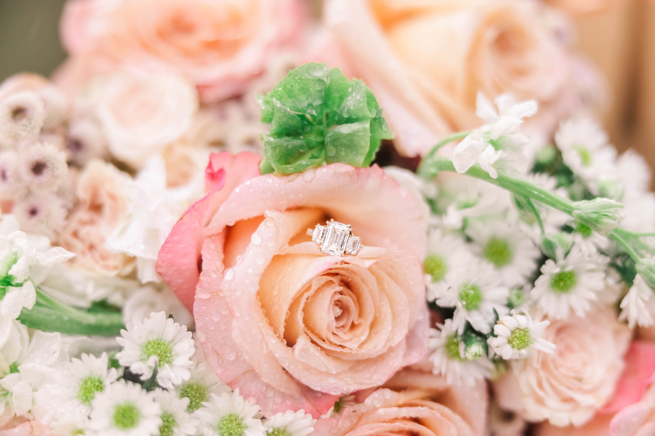 Delicate pink roses and white flowers in romantic wedding bouquet arrangement.
