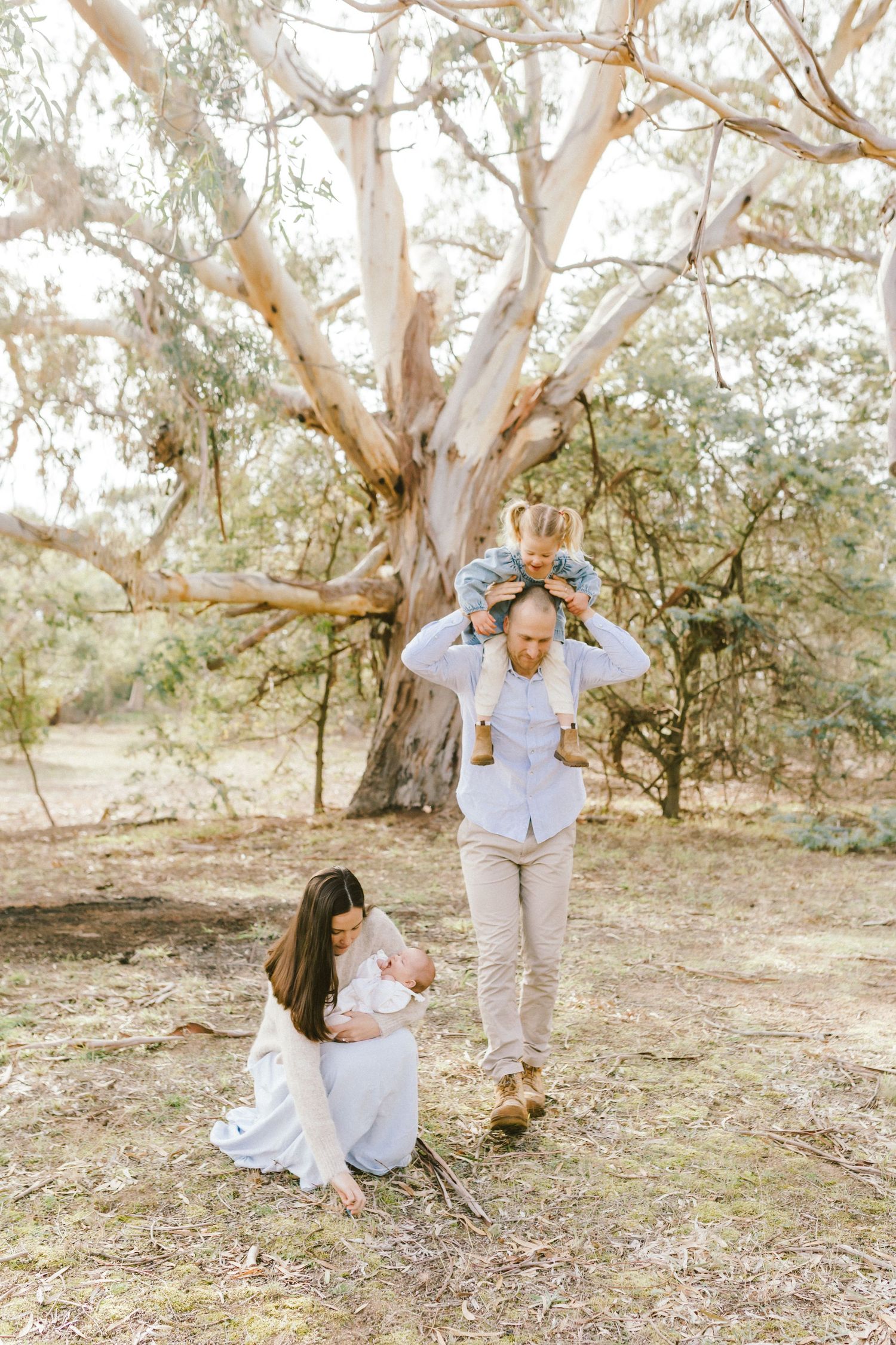 Family enjoying outdoor time near a large eucalyptus tree, mother holding baby while father carries toddler on shoulders.