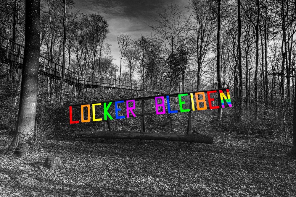 Black and white forest scene with a colorful neon sign reading Locker Bleiben on a wooden bridge among bare trees.