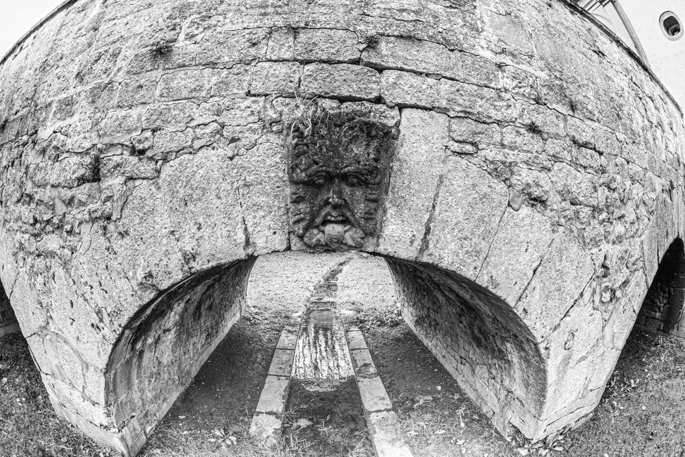 Black and white fisheye photo of a stone arch bridge with a carved face relief reflecting in still water below.