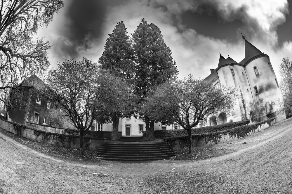 Black and white fisheye photo of a historic castle church with tall trees and stone steps under dramatic clouds.