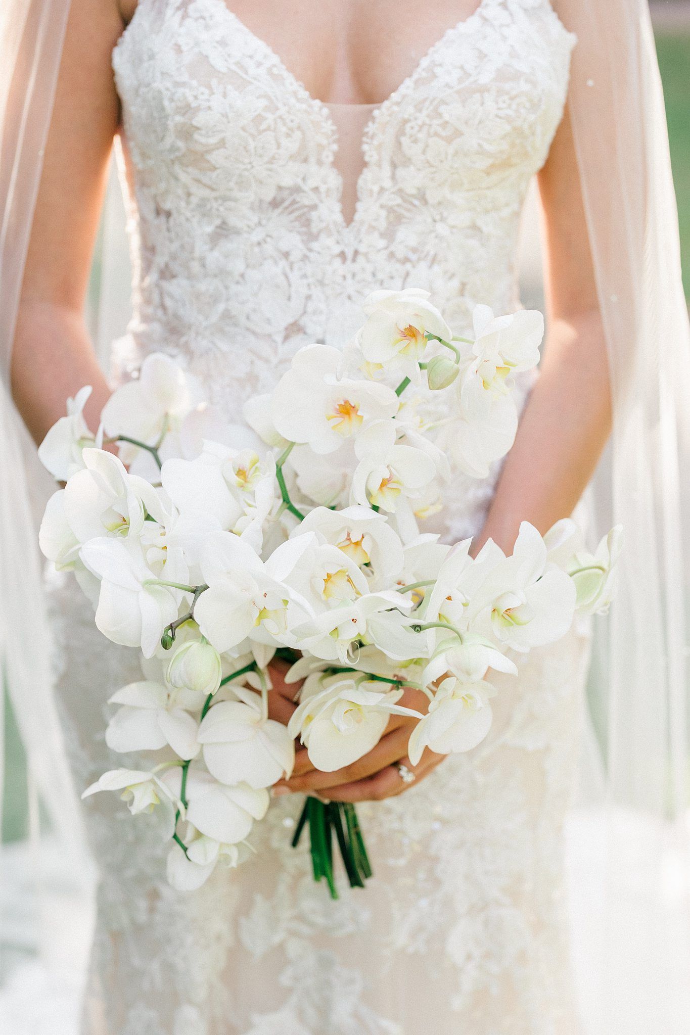 Bride in lace wedding gown holding elegant white orchid bouquet with green stems.