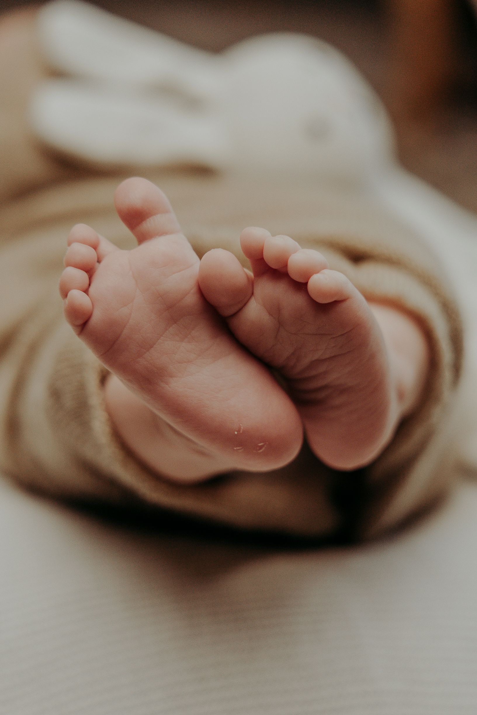Close-up of tiny newborn baby feet crossed together, with soft focus background showing a white stuffed bunny toy.