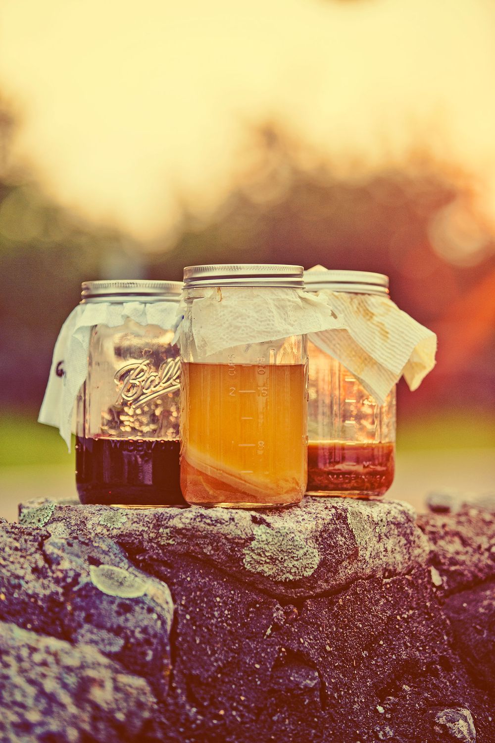 Three mason jars of amber kombucha brew on stone surface with warm bokeh sunset background.