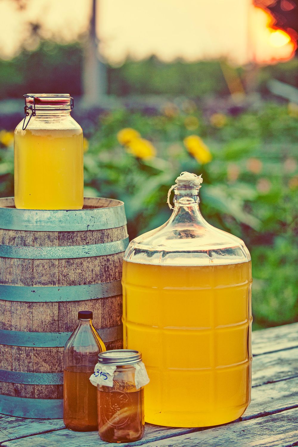 Homemade fermented beverages in carboy and mason jars displayed on rustic wooden barrel at sunset.