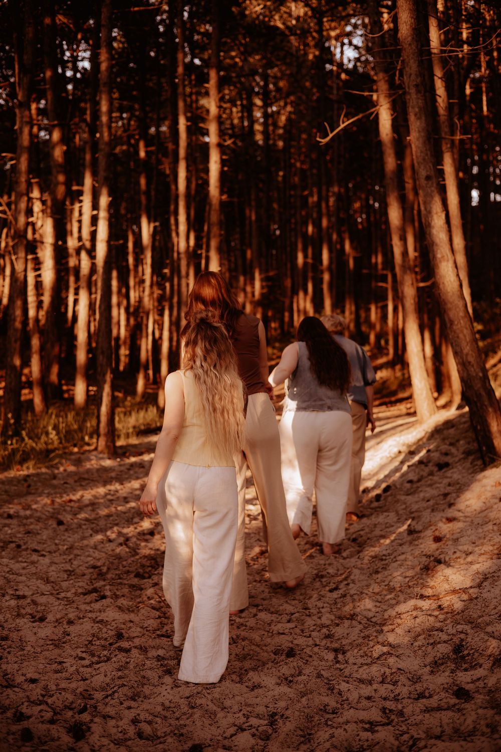 Three women walking hand in hand into a sun-drenched pine forest on a sandy path.