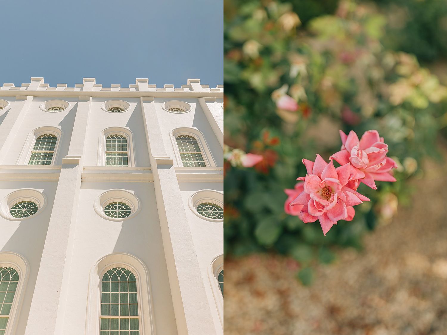 White temple facade with arched windows against blue sky beside pink roses blooming on a green bush.